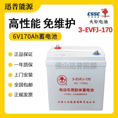 火炬蓄电池3-EVFJ-170电动轿车电瓶 6V170Ah高尔夫球车电池免维护